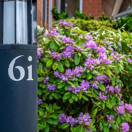 Birkenstr 6i Wg 8 